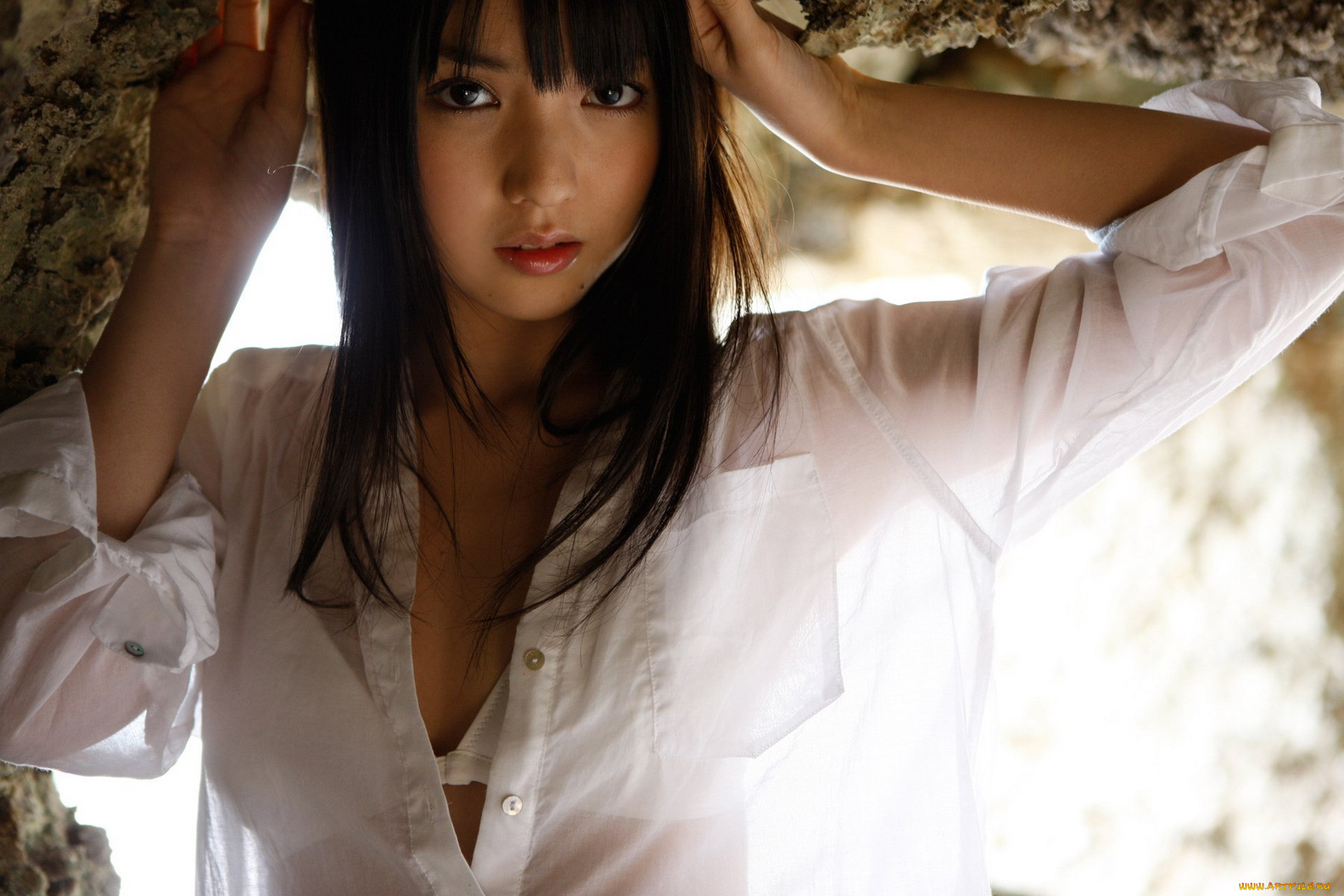 , sayumi michishige, , , 